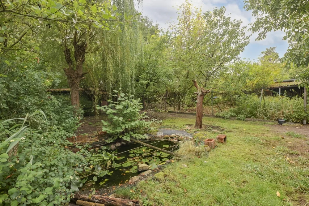 Teich