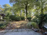 Gartenfläche